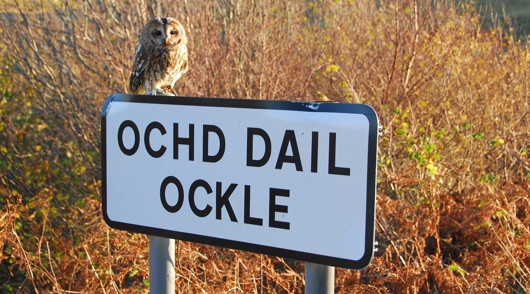 Ockle Holidays