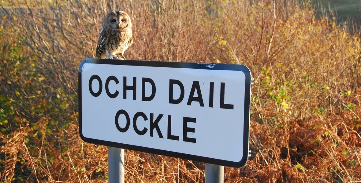 Ockle Holidays Ockle Holidays