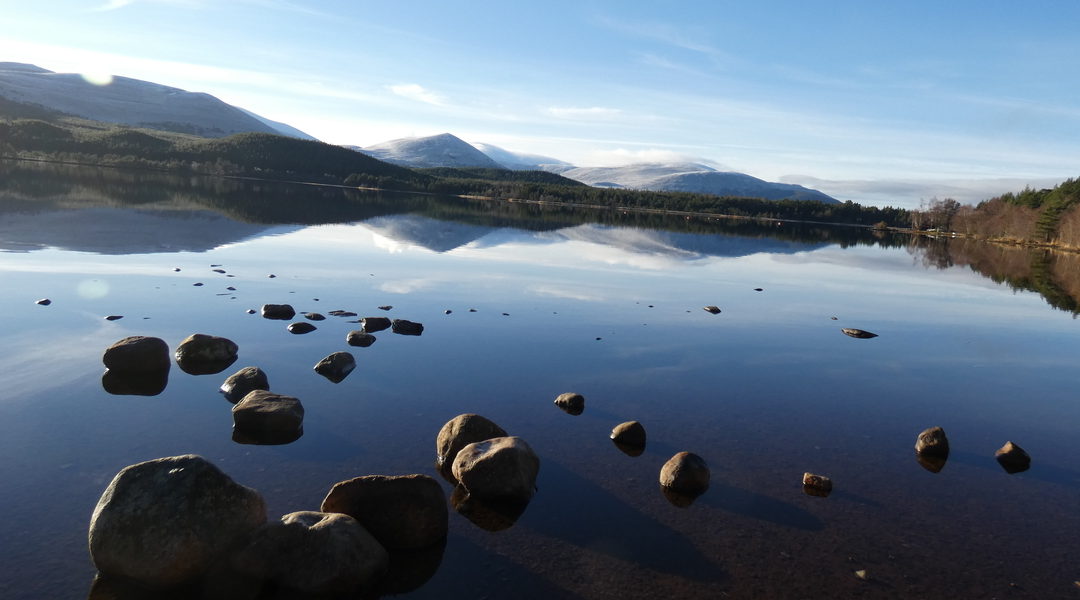 Appin Properties