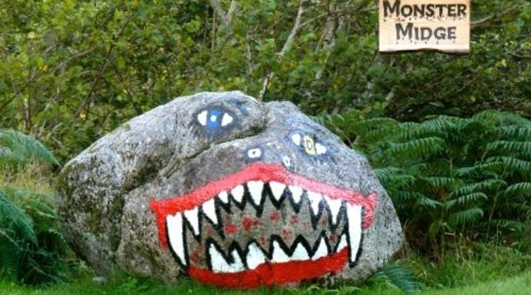 The monster midge stone at Ardtoe